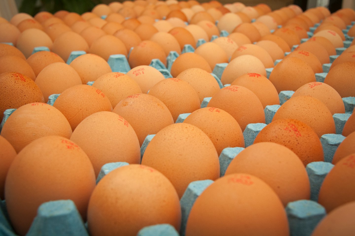 Huevos marrones con sellos rojos en cartones azules.